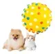 Pelota con Chifle Juguete Para Perros 5,5 cm-1780596064502