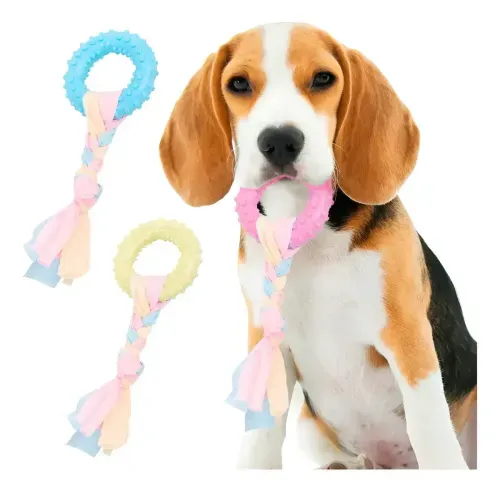 Mordillo Goma Soga Aro 19 Cm Perro Mascota Juguete